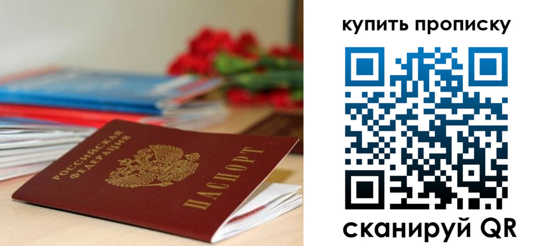 прописка в Владимирской области